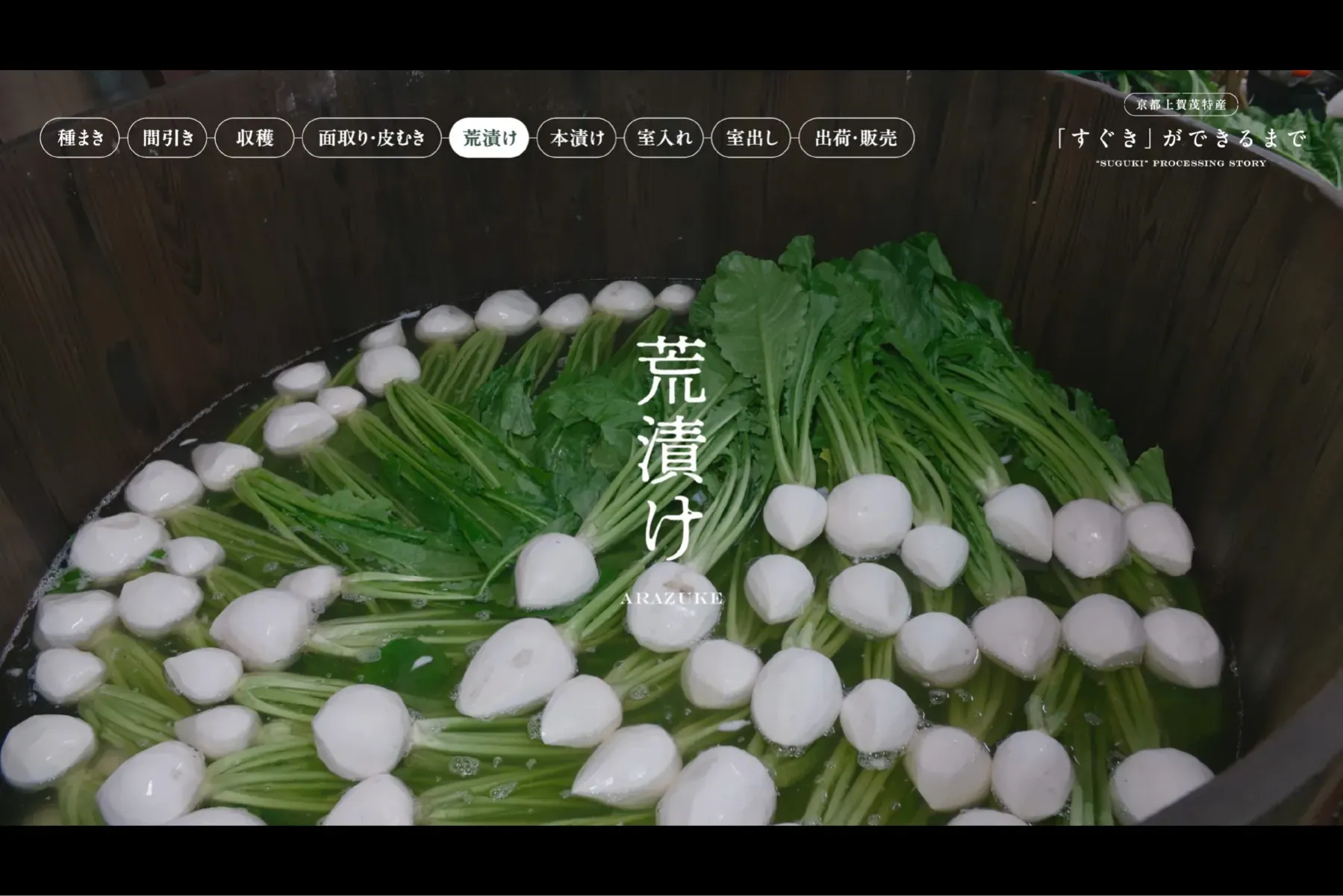京都上賀茂の食文化「すぐき」記録動画